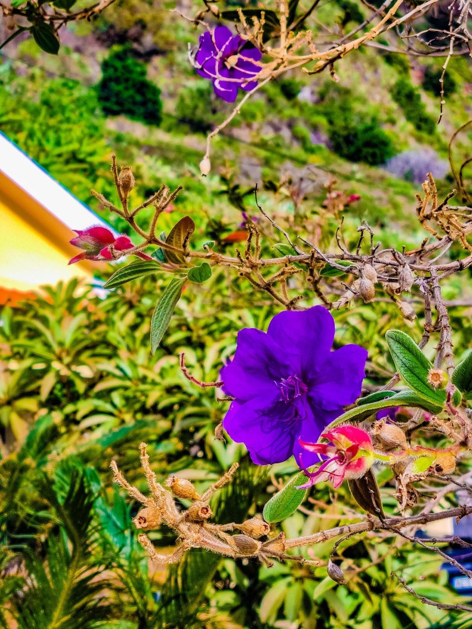 Atlantico, Your Family&friends Retreat Ponta do Sol (Madeira)