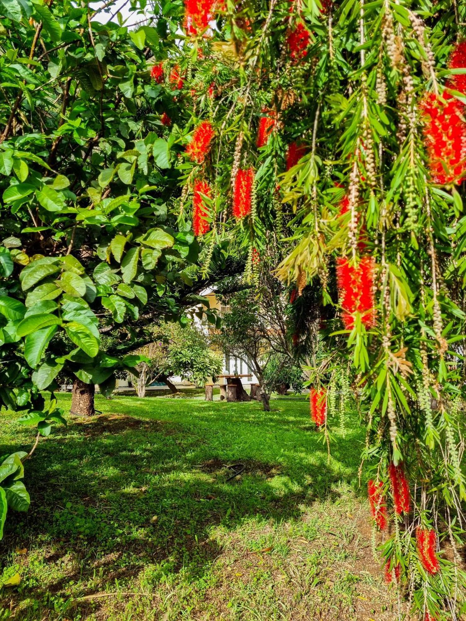 Holiday home Atlantico, Your Family&friends Retreat Ponta do Sol (Madeira)